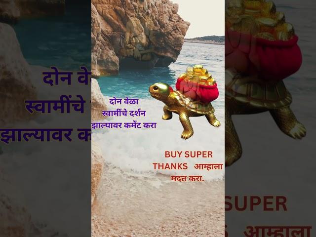 दोन वेळा स्वामी दर्शन झाले तर कमेंट करा #shortsfeed #shorts #trending #swamisamartha #swamiseva