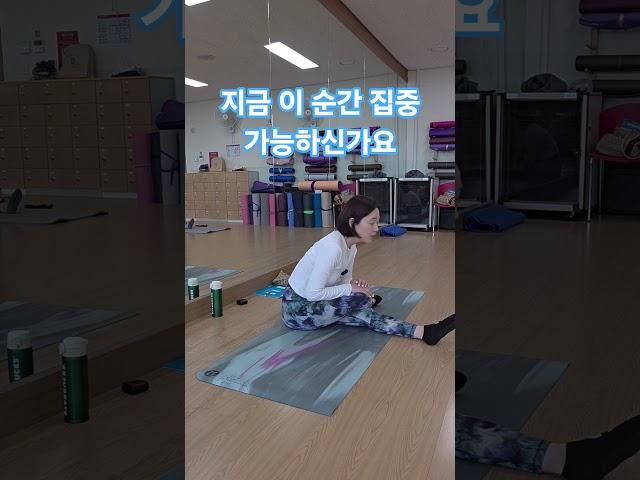 좌우3분 힘빼고 유지 #시니어요가 #시니어운동 #실버요가 #인요가 #중년운동 #부드러운요가 #50대운동 #쉬운요가 #요가초보