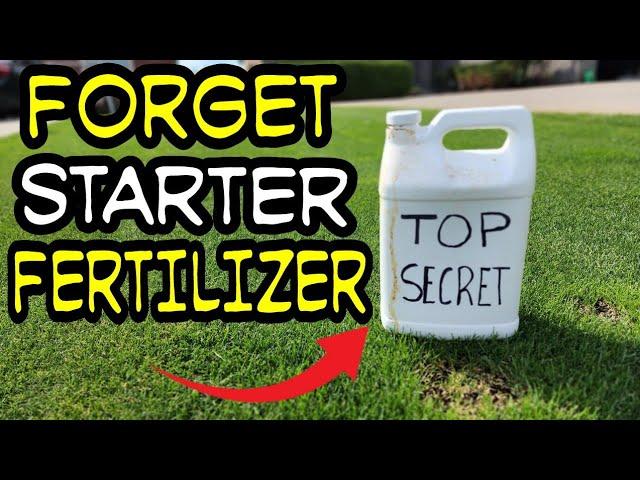 Lightning FAST Germination for 100% Success on Your Lawn Renovation ️Top Rapid Germination Tips!