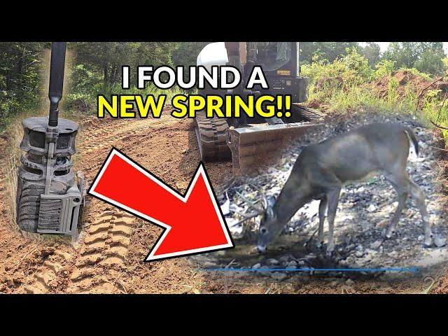 I FOUND A NEW SPRING on our Missouri Ozarks property! Trail cam video updates NATURAL deer pond