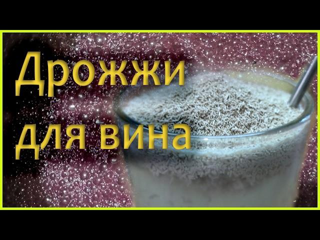 Какие ДРОЖЖИ нужны для приготовления ВИНА!