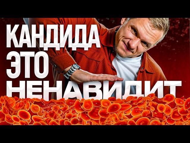 Убей кандиду едой – 4 продукта от кандидоза