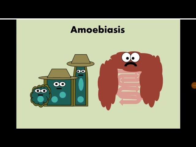 Entamoeba histolytica (Amoebiasis) الأميبا / الدوسنتاريا