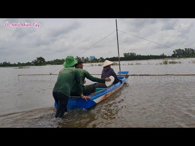 Đẩy Côn Mùa Nước Nổi, Vội Vã Nướng Cá Không Kịp Chín Khi Cơn Mưa Lớn Kéo Đến Quá Nhanh #ỐcNhỏMiềnTây