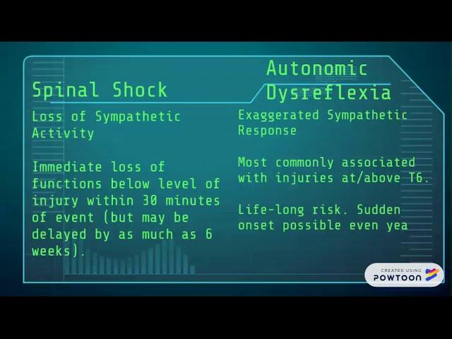 spinal shock vs autonomic dysreflexia