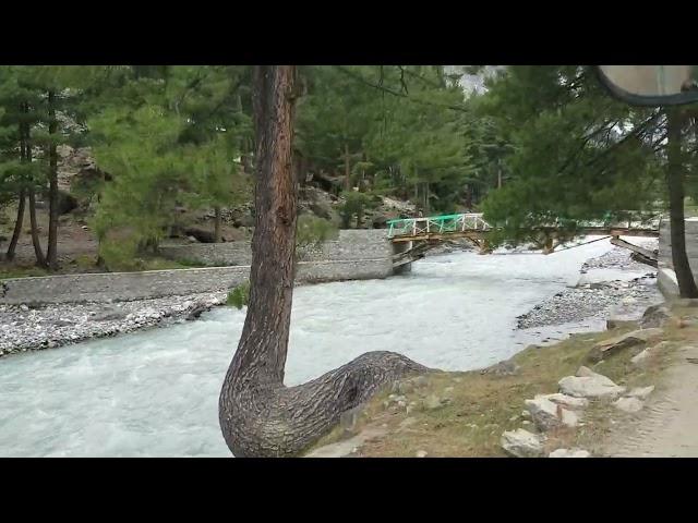 Naltar Valley Gilgit−Baltistan