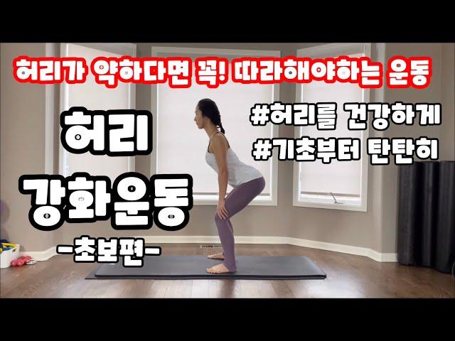 기초부터 탄탄히! 허리를 튼튼하게 만드는 허리강화운동/초보편