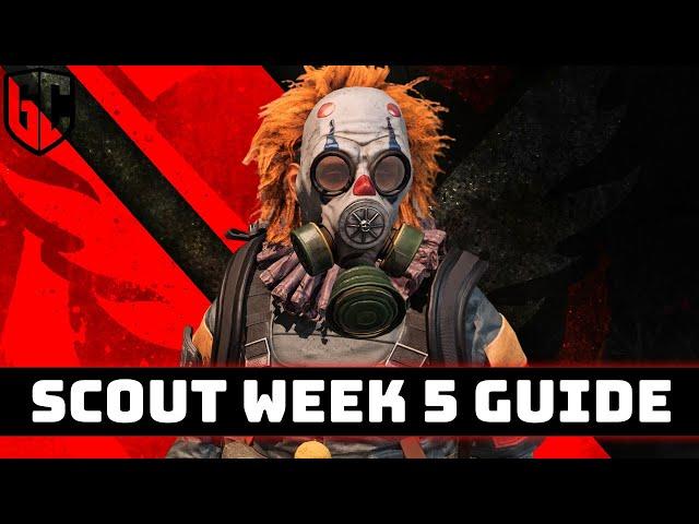 The Division 2 Scout Week 5 Activity SOLUTIONS!