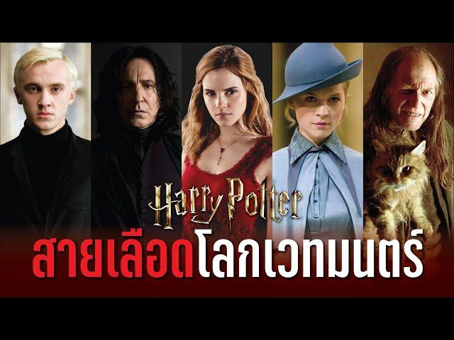 สายเลือดทั้งหมดบนโลกเวทมนตร์ Harry Potter Blood Status | บ่นหนัง