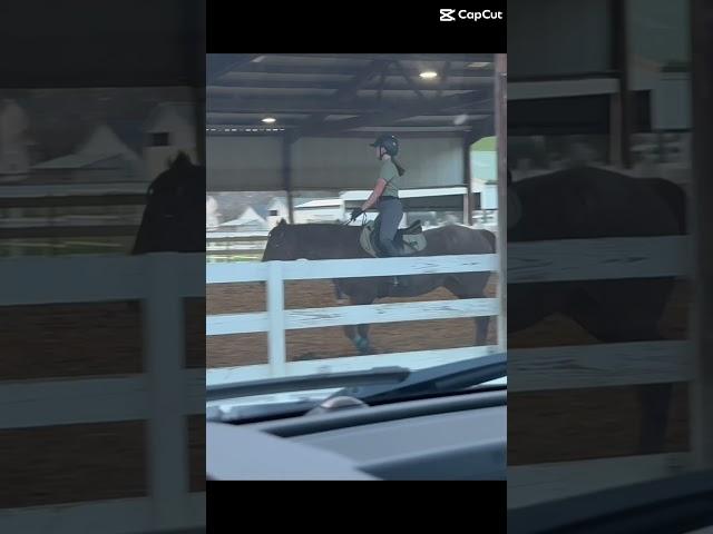 Don’t mind the saddle pad#fyp#viral#horse#equestrian#horsebackriding#eq#redroan#capcut#equine#horses