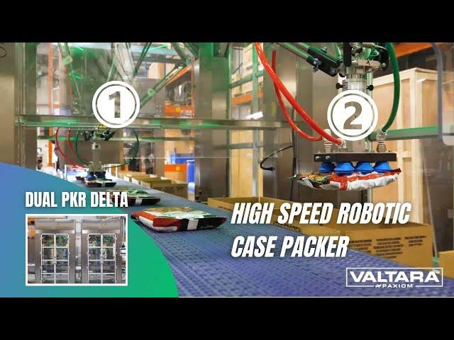 PKR Delta Case Packer Twin Cell For 85 Retail Bags Per Minute