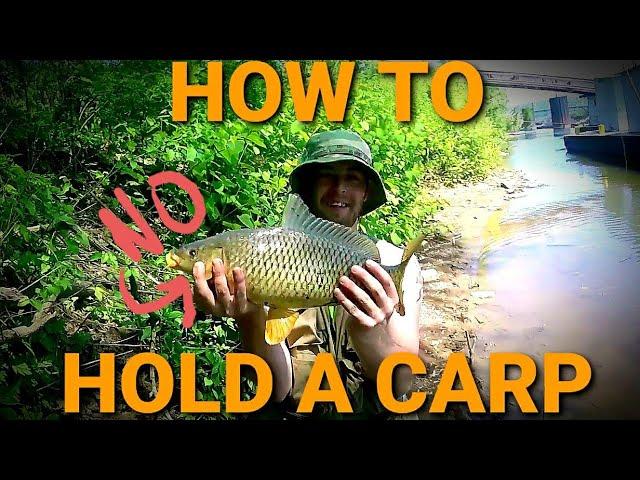 How to Properly Handle a Carp