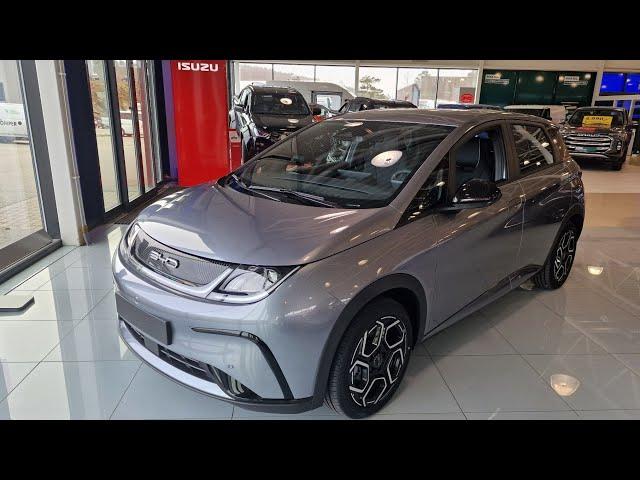 New BYD Dolphin | Car Purchase of the Year in Europe 2024 | Visual Review