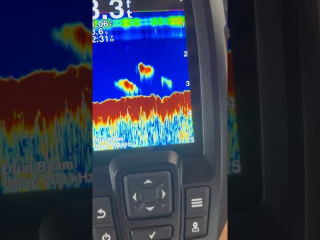 Garmin Striker 4 Fish Finder #bassfishing #sonar #garmin #fishfinder