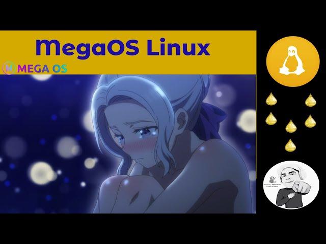 Mega OS un Linux que trata de trabajar como Windows