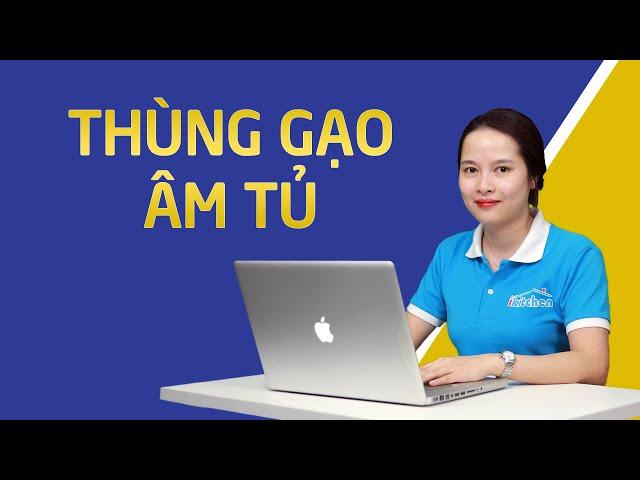 Thùng Gạo Âm Tủ | Bếp iKitchen