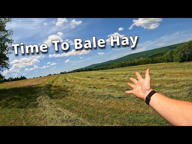 Baling Hay For 25 Horses