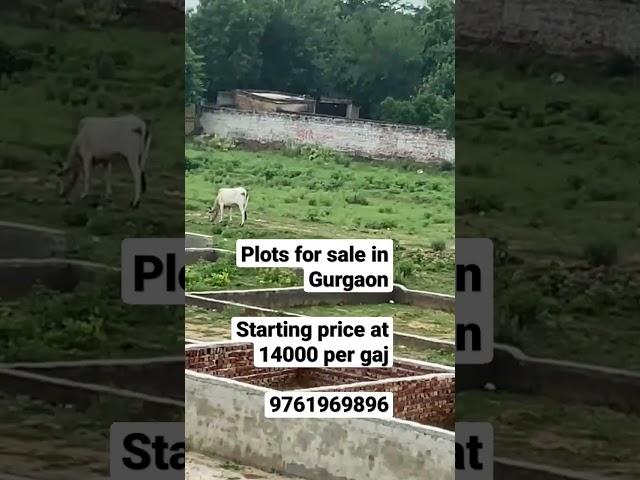 Plots for sale in Gurgaon. Starting price at 14000 per gaj. M:- 9761969896