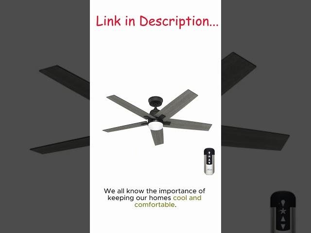 5 Reasons Why This Ceiling Fan Is A Game-Changer