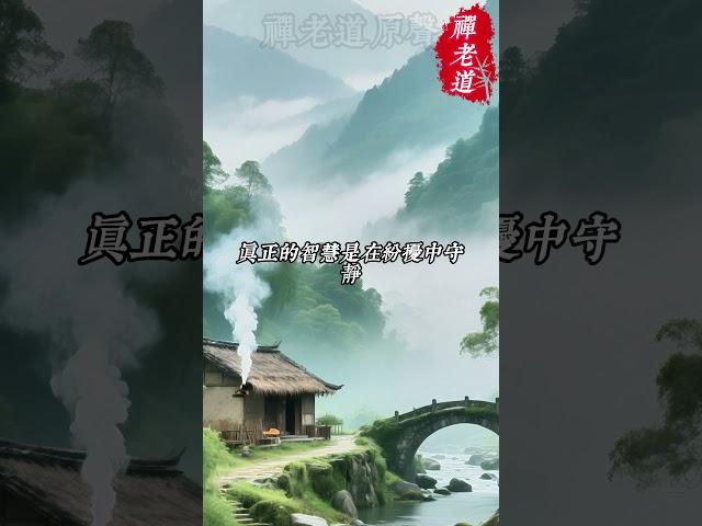 聰明的人早就不爭了,三個不爭道出人情冷暖!#道家哲學 #道家思想 #道家文化 #道家 #道家智慧 #道家法術 #道家养生 #人生道理 #人生感悟 #人生智慧 #人生 #人生 #人生哲理 #人生相談