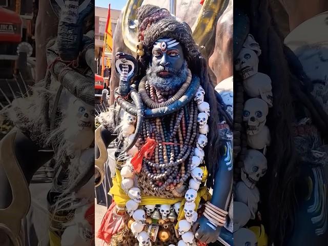 #shortvideo #bholabhakt #hindudeity #mahadev #bholashiv #bhola #shortsviral #mahadev #kumbh #ytshort
