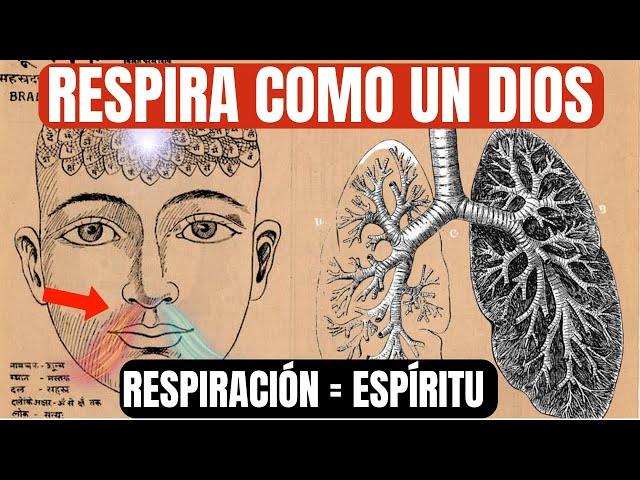 RESPIRAR así es la forma más RÁPIDA de elevar la CONCIENCIA (CAMBIO de realidad instantánea)