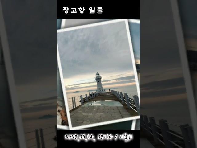 장고항 일출 #장고항 #일출