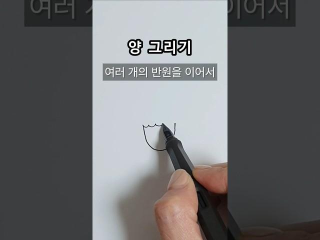 양 그리기 #일러스트