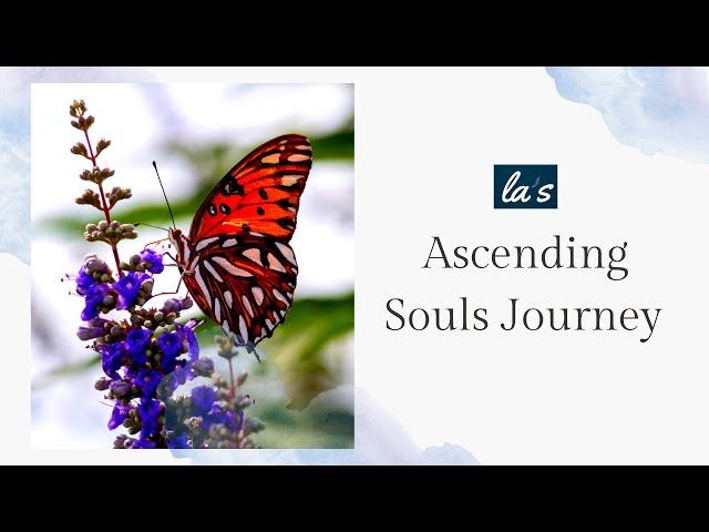 Ascending Souls Journey~ Lori Ann. "Who Are We"