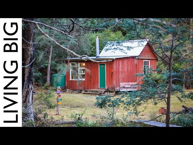 She Turned This Abandoned Hut Into A Dream Woodland Cabin