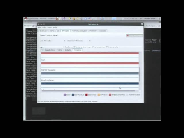 Thermostat: An Open Source Instrumentation Tool for the HotSpot JVM