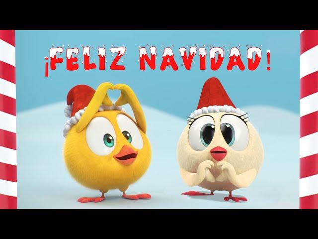  ¡FELIZ NAVIDAD! ¿Dónde está Chicky? | Dibujos Animados para Niños