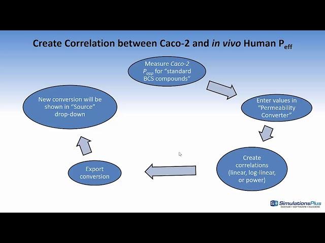 Converting In Vitro Permeability to Effective Jejunum Permeabililty