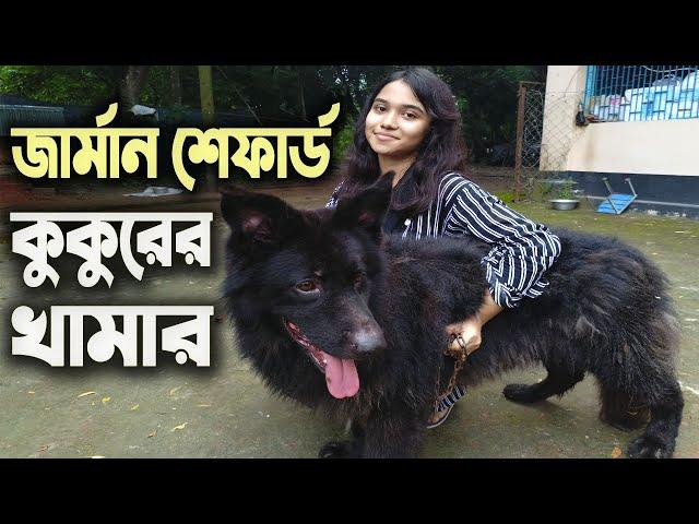 মামা আর ভাগ্নীর জার্মান শেফার্ড কুকুরের খামার | German Shepherd Dog Farm in Bangladesh