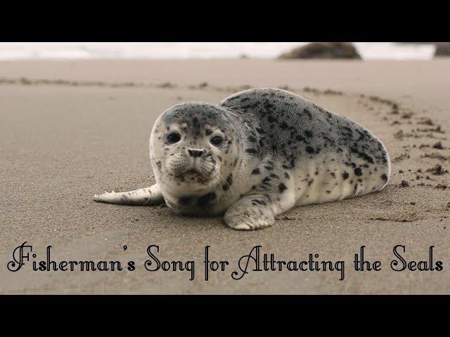Fisherman's Song | HARP Sheet Music | Tiffany Schaefer