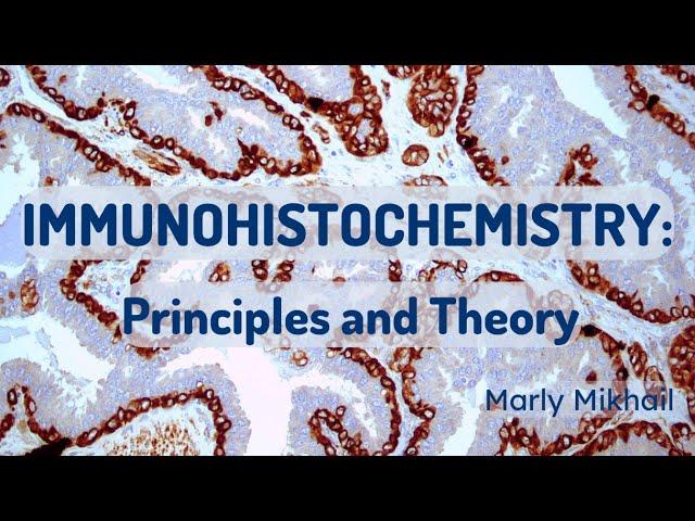 Immunohistochemistry: Principles and Theory