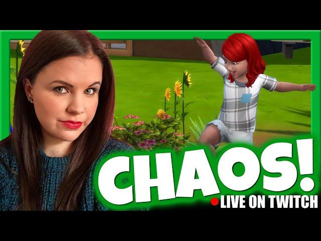  THE CHAOS YOU MISS LIVE ON STREAM  | Chani_ZA