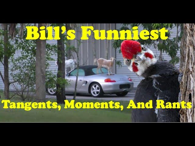 Curious Cars Funniest Moments (Autohaus Bill's Rants and Tangents Compilation)