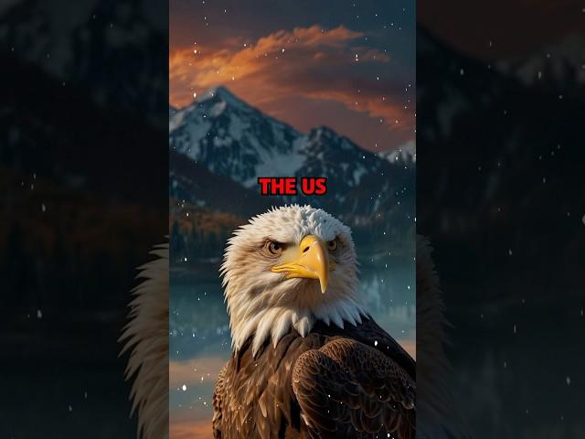 What animal should be your Country’s symbol?Comment #strangerthings #didyouknow #US #facts