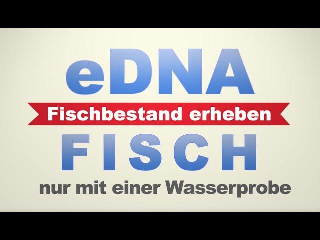 Fischbestandsanalyse auf DNA-Basis: Die günstige Alternative zur Elektrobefischung eDNA FISCH