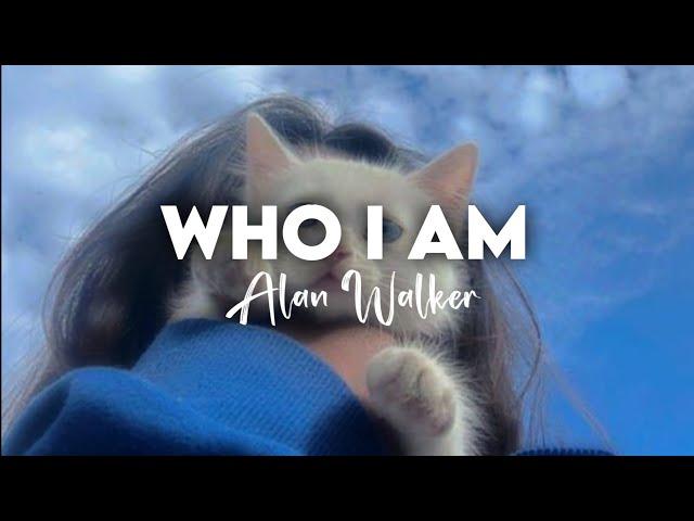 Alan Walker, Petri Ariana-Who I Am [Remix  Lyrics] Dynamicvibes