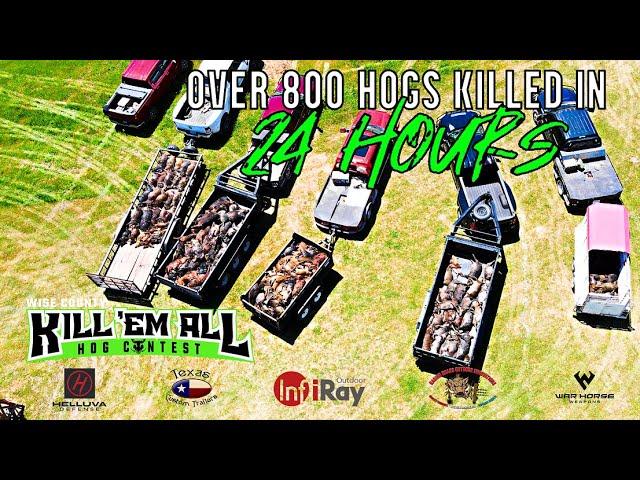 Over 800 Hogs Killed | Kill'EmAll Contest (2023)