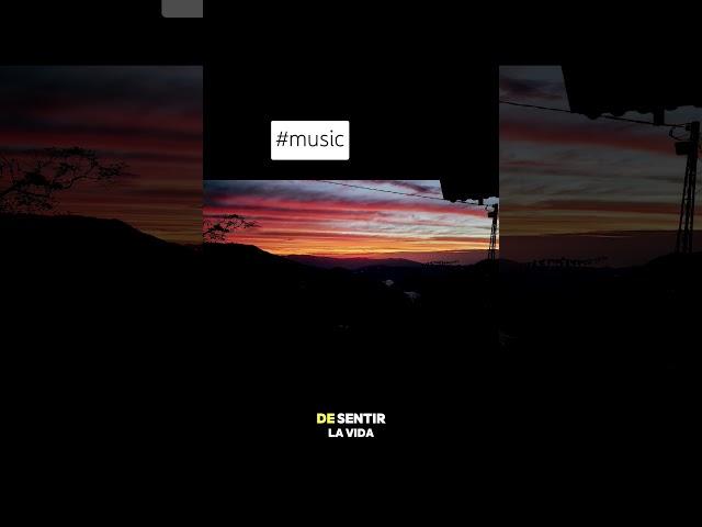 #newmusic #willie.adventour#travel