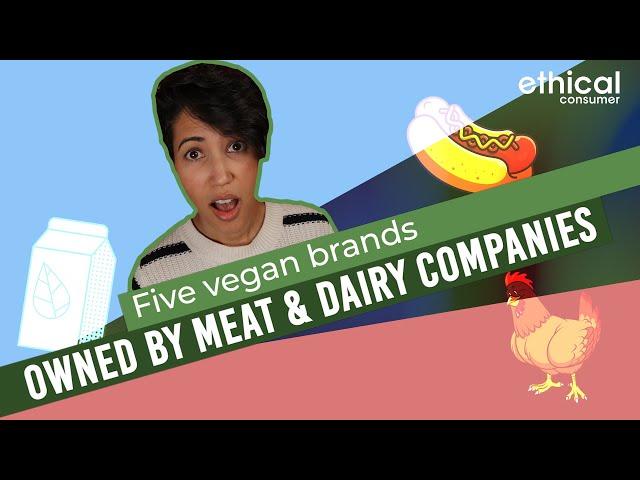 Five Vegan Brands Owned by Meat & Dairy Companies.