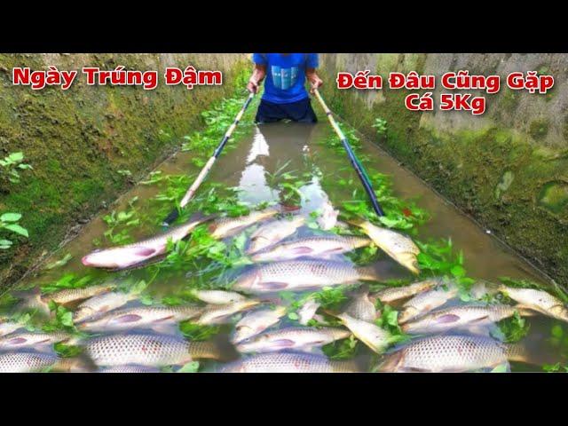 Kích Cá 1 Ngày Trúng Đậm Đi Đến Đâu Cũng Bắt Được Cá To Trên 5Kg || Catch fish