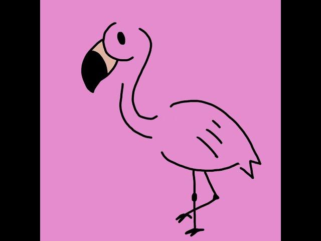 홍학(Flamingo) 친구 그리기 #shorts