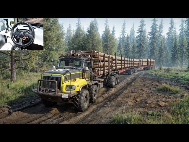 Ultimate Logging With Paystar 5600 TS | SnowRunner | Logitech G29 Gameplay