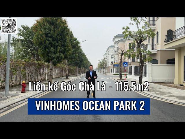 Liền kề Góc Chà Là diện tích 115.5m2 - Giá tốt nhất dự án - Vinhomes Ocean Park 2