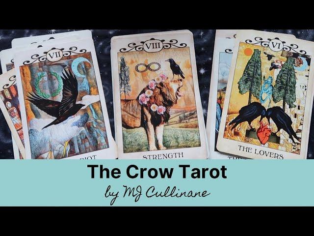 Crow Tarot Review & Study