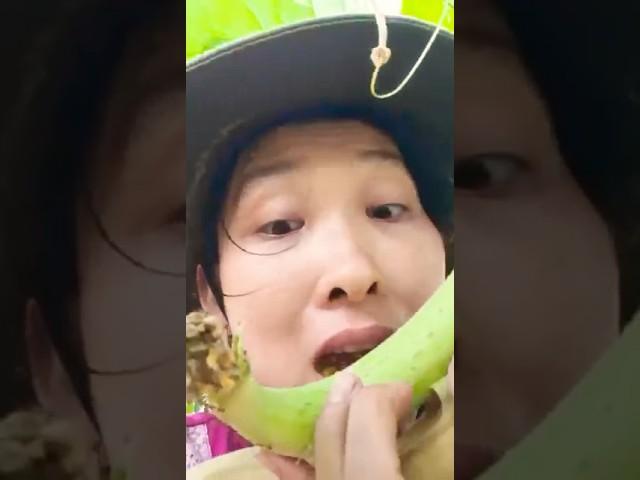 Vườn Rau Sạch Giữa Sài Gòn #farm #farmer